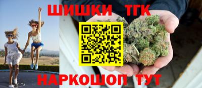 гидра Нальчик