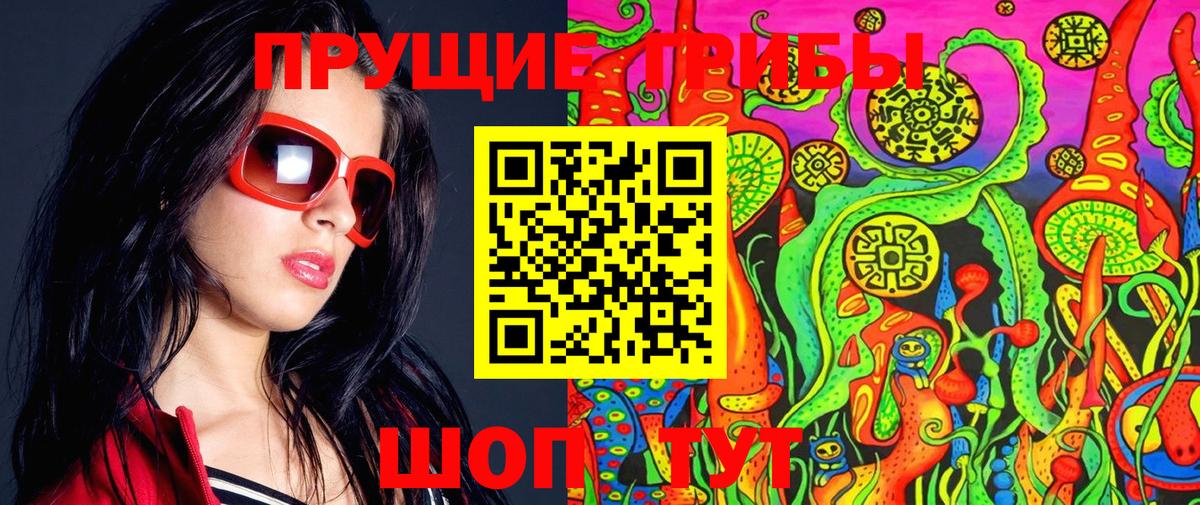 Псилоцибиновые грибы Psilocybe  Вход с VPN  Тихорецк 